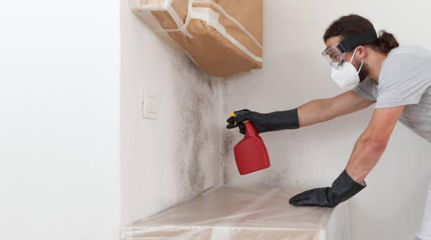 Professional Bathroom Mold Removal technician working in Leland, NC
