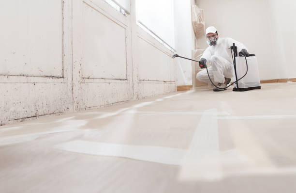 24/7 Emergency Bathroom Mold Removal experts in Leland, NC