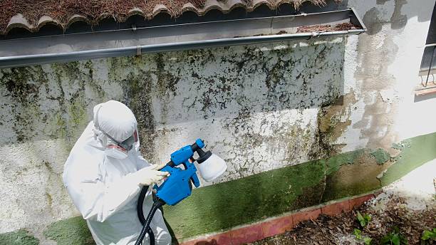 Top rated local Bathroom Mold Removal specialists in Leland, NC